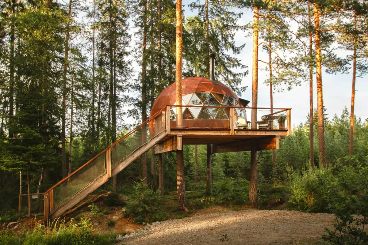 Treehouse dome