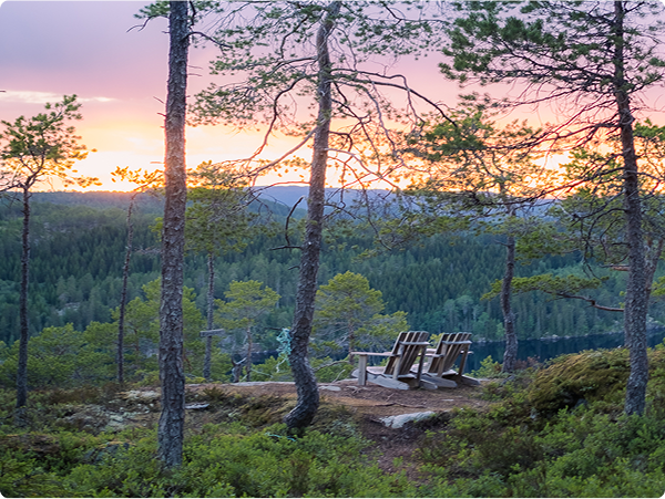 Elevate the experience